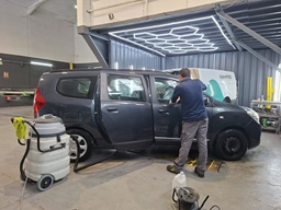 PK | Limpieza Completa (Grande)