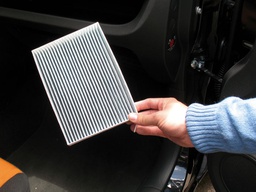 PK+TR | CAMBIO DE FILTRO DE POLEN